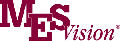 Medical Eye Services
